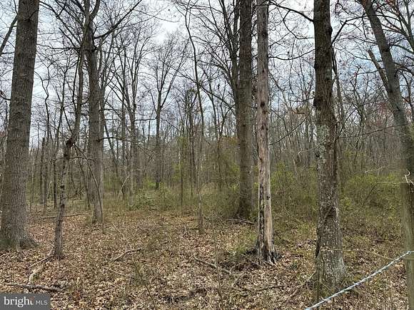 10.5 Acres of Land for Sale in Broad Run Village, Virginia
