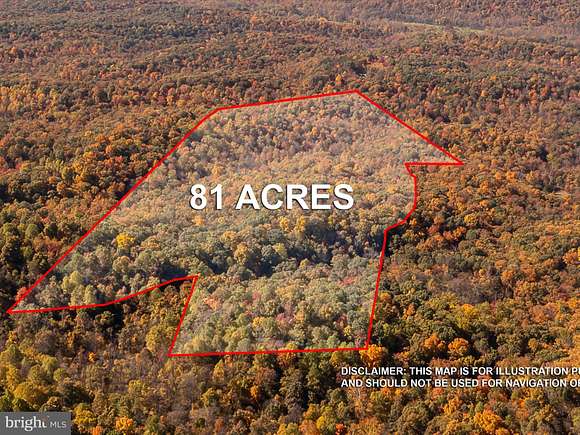 81 Acres of Land for Sale in Hedgesville, West Virginia