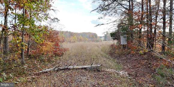 68.6 Acres of Recreational Land for Sale in Rhoadesville, Virginia