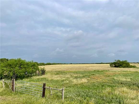 37.3 Acres of Agricultural Land for Sale in Beeville, Texas