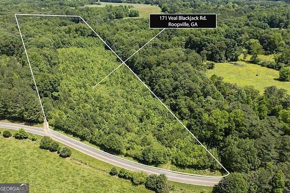 9.4 Acres of Land for Sale in Roopville, Georgia