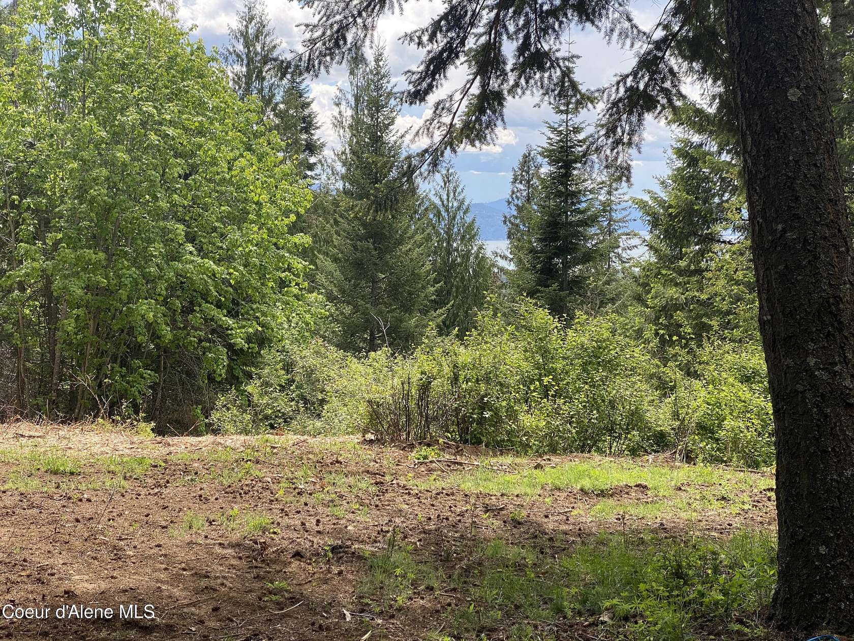 1.81 Acres of Land for Sale in Sandpoint, Idaho