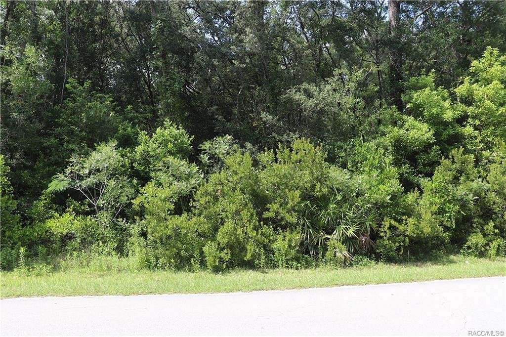 2.4 Acres of Land for Sale in Dunnellon, Florida