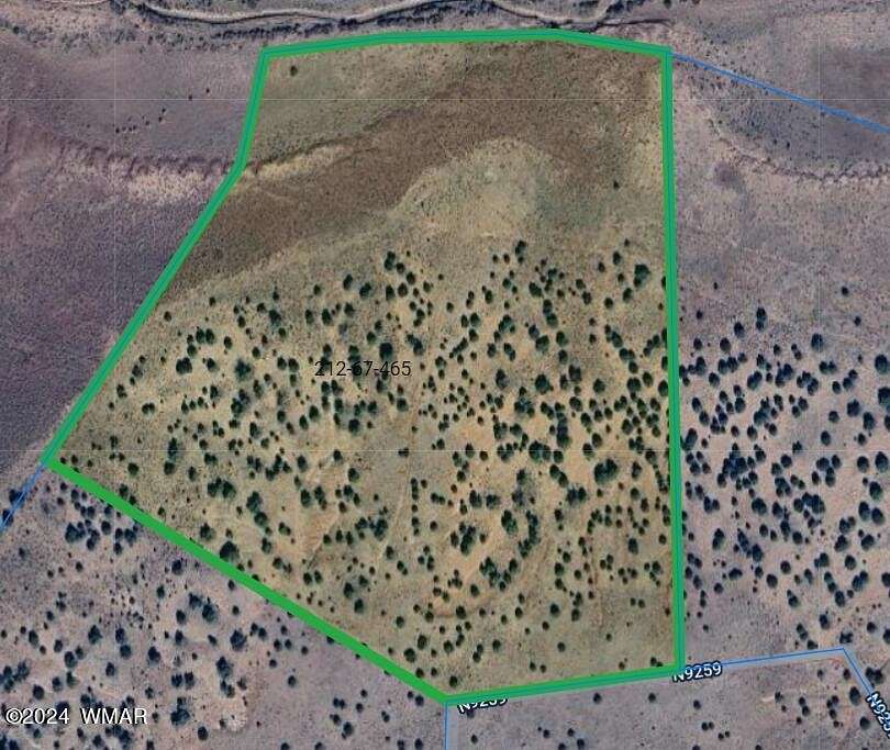 38.9 Acres of Land for Sale in Concho, Arizona
