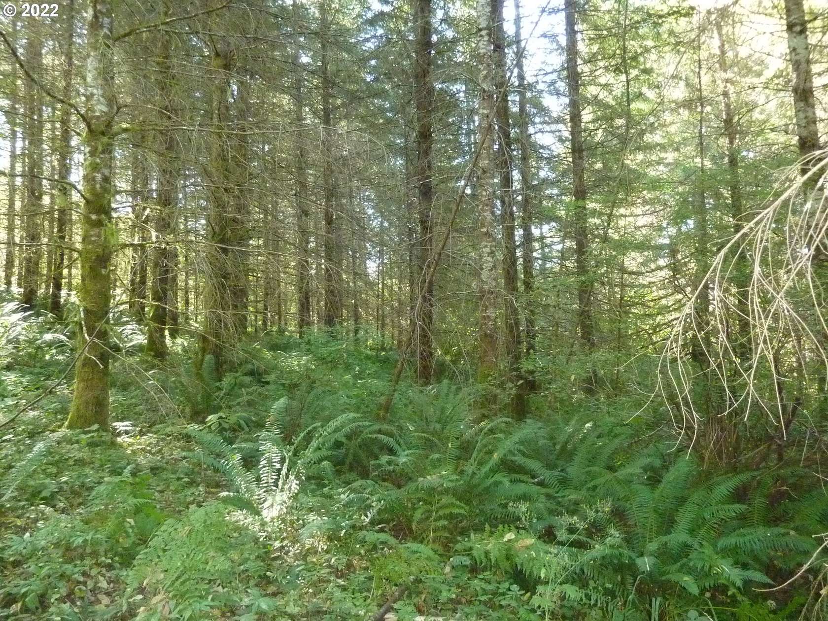 20 Acres of Recreational Land for Sale in Yacolt, Washington