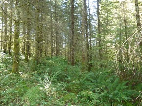 20 Acres of Recreational Land for Sale in Yacolt, Washington