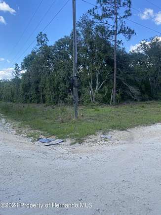 1.25 Acres of Land for Sale in Bronson, Florida