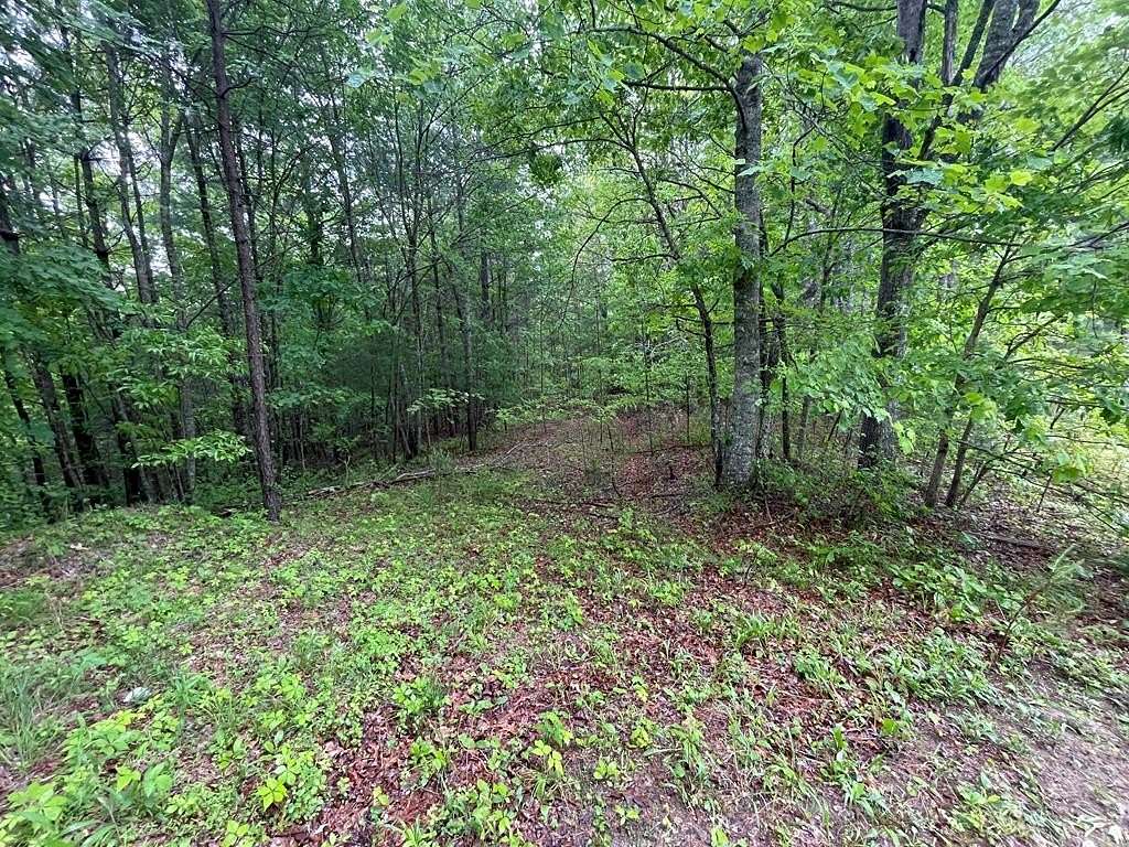 Land for Sale in Murphy, North Carolina