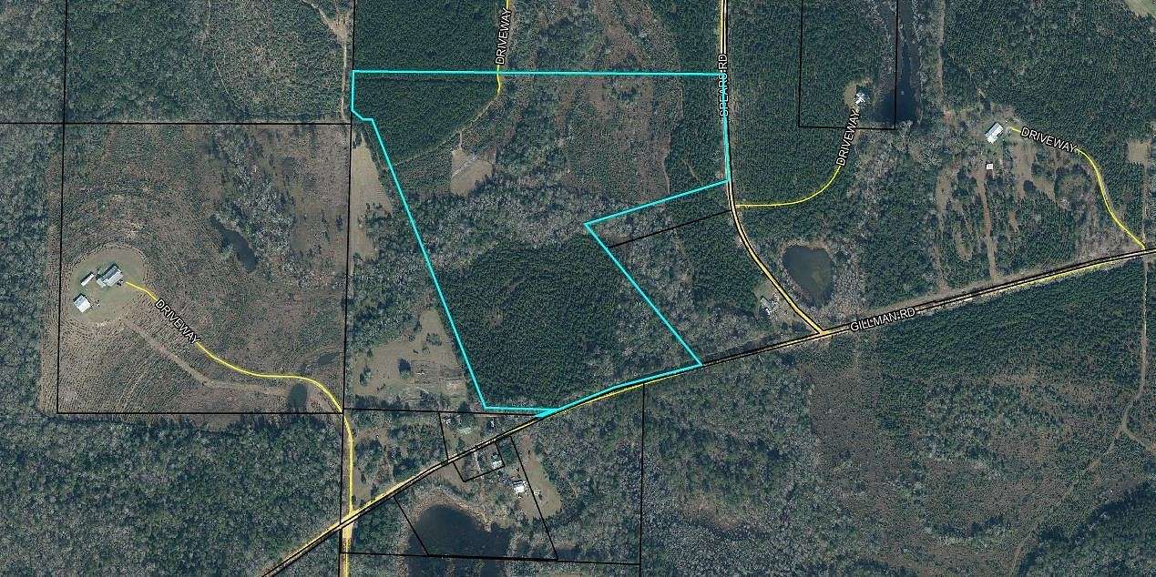 38.39 Acres of Land for Sale in Westville, Florida