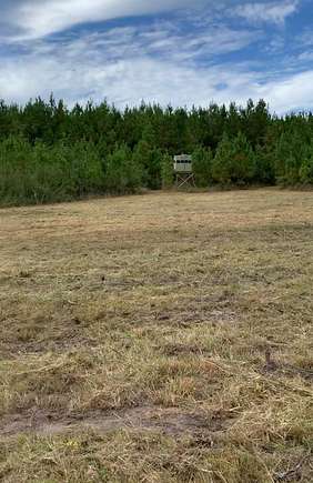 38.39 Acres of Recreational Land for Sale in Westville, Florida