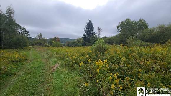 59.9 Acres of Recreational Land for Sale in Genesee Town, New York