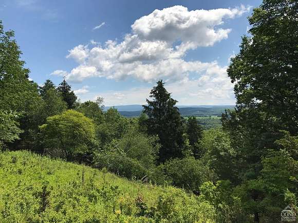 24 Acres of Recreational Land for Sale in Ancram, New York