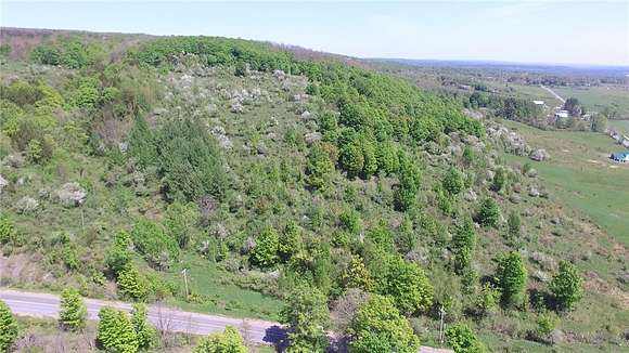 123 Acres of Recreational Land & Farm for Sale in Steuben, New York
