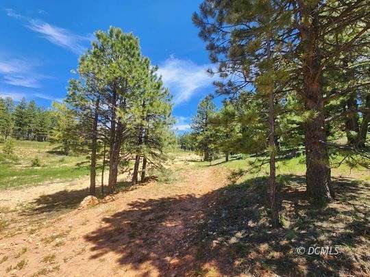 0.56 Acres of Residential Land for Sale in Duck Creek Village, Utah