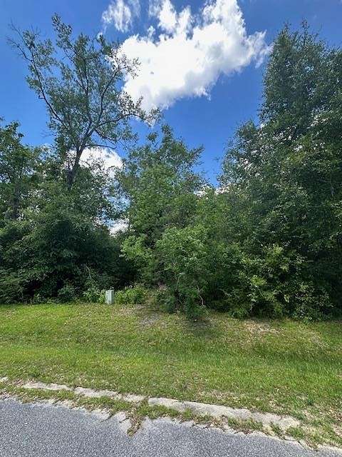 0.56 Acres of Residential Land for Sale in Wewahitchka, Florida