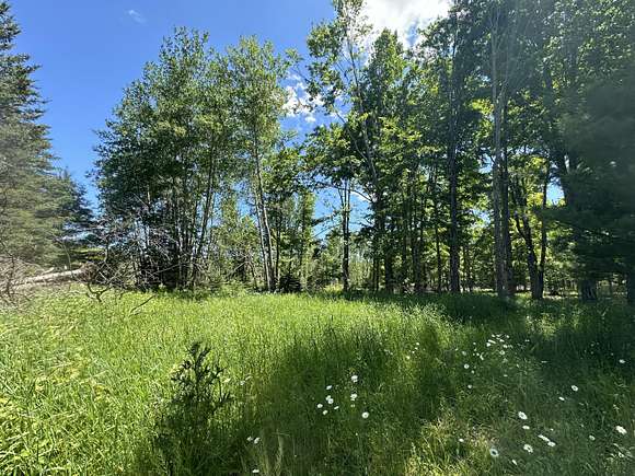 23.6 Acres of Recreational Land for Sale in Harrisville, Michigan