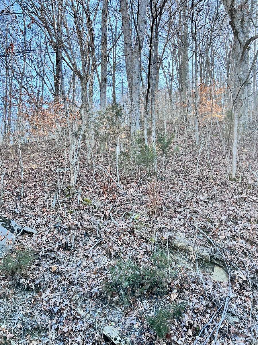 9.9 Acres of Land for Sale in Tazewell, Tennessee