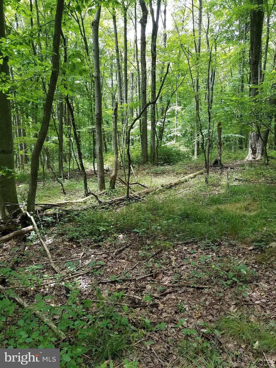 15.75 Acres of Land for Sale in Oakland, Maryland