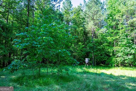115 Acres of Land for Sale in Hogansville, Georgia