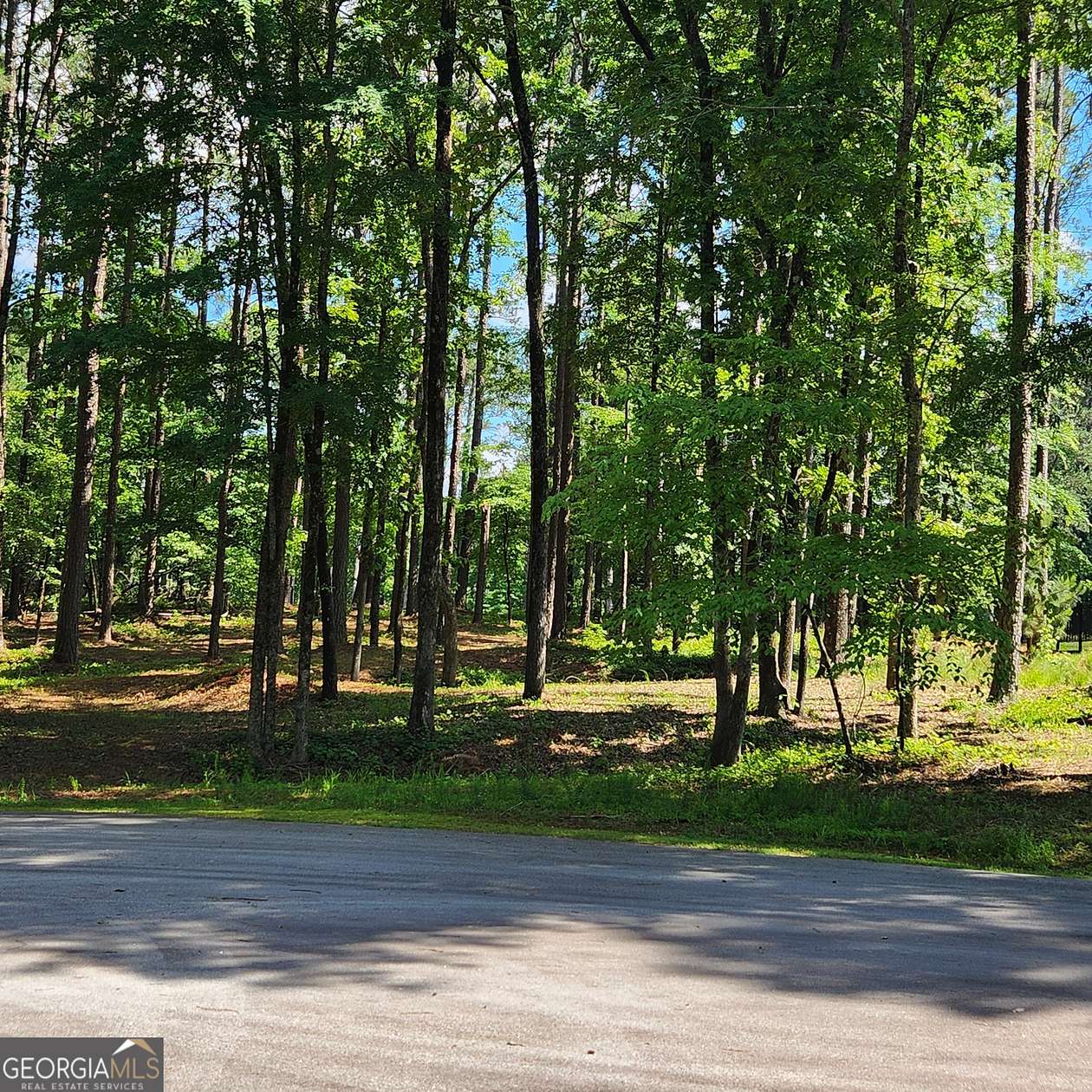 0.6 Acres of Residential Land for Sale in Greensboro, Georgia
