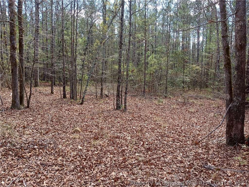 14 Acres of Land for Auction in Cameron, North Carolina