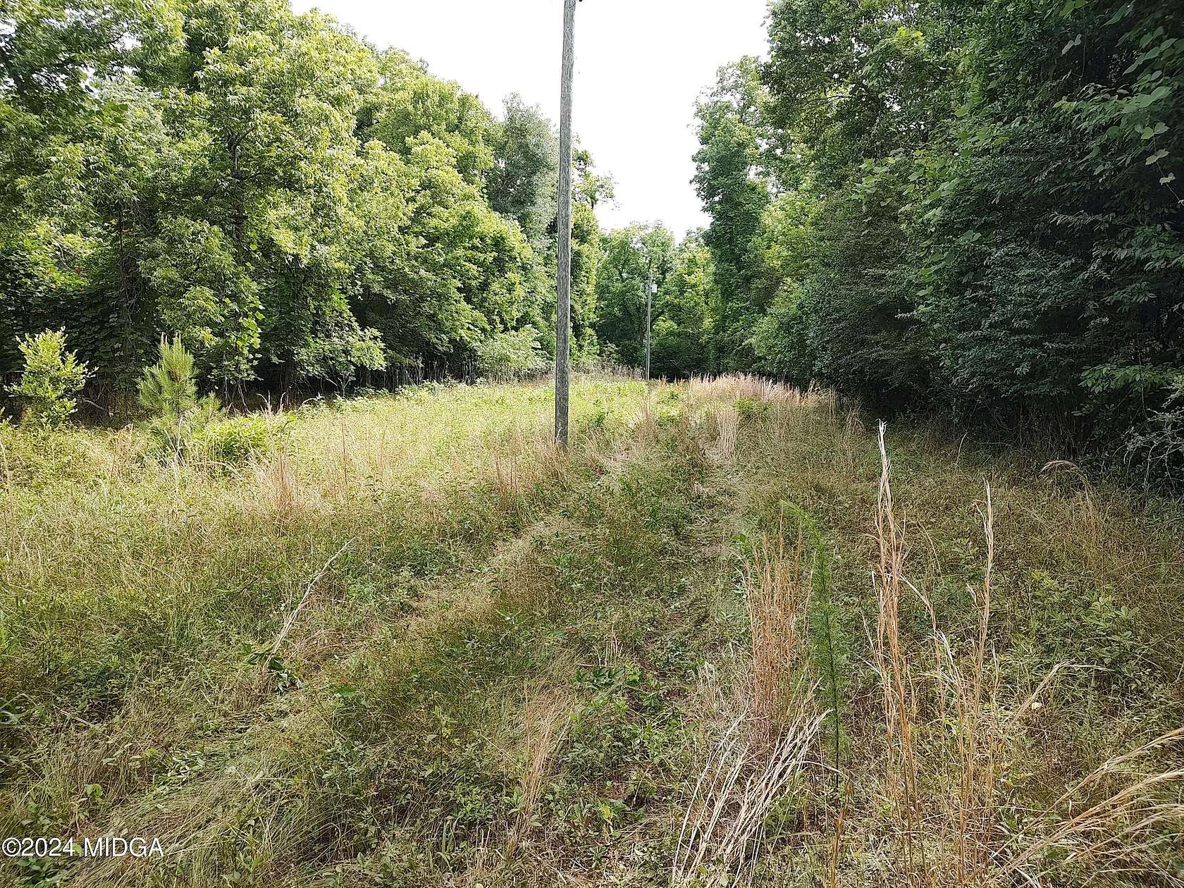 27.5 Acres of Recreational Land for Sale in Macon, Georgia