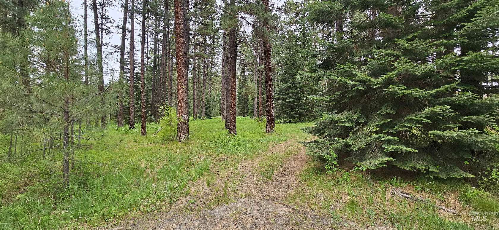 6.1 Acres of Land for Sale in New Meadows, Idaho