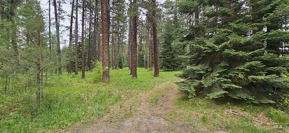 6.1 Acres of Land for Sale in New Meadows, Idaho