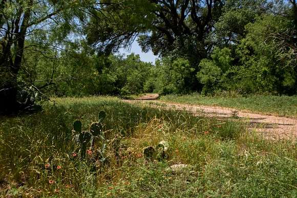 262 Acres of Recreational Land & Farm for Sale in Sweetwater, Texas