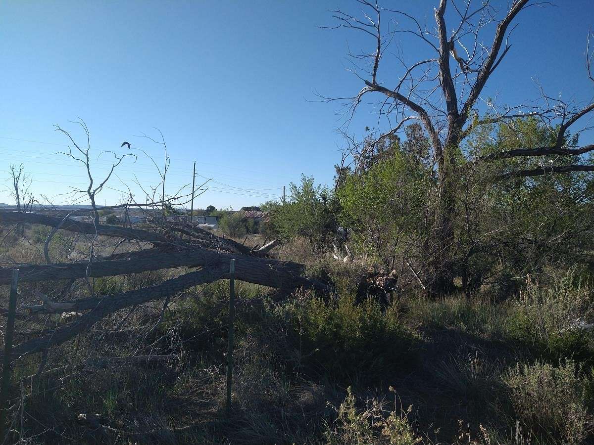 0.31 Acres of Residential Land for Sale in Mountainair, New Mexico