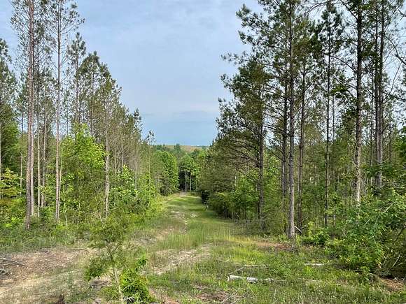 78.4 Acres of Land for Sale in Addison, Alabama