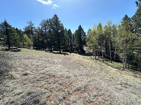 0.57 Acres of Land for Sale in Florissant, Colorado