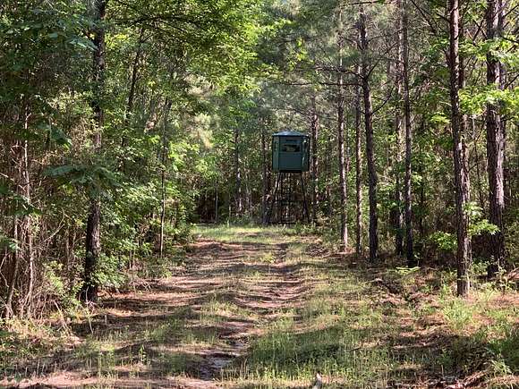 150 Acres of Recreational Land for Sale in Many, Louisiana