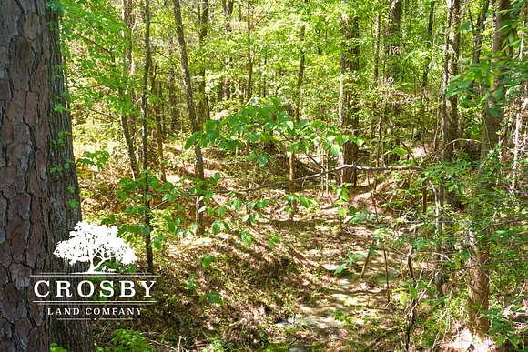 61.9 Acres of Recreational Land for Sale in Troy, South Carolina