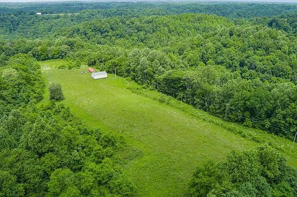 260 Acres of Land for Sale in Baxter, Tennessee