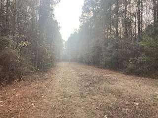 Land for Sale in Smackover, Arkansas