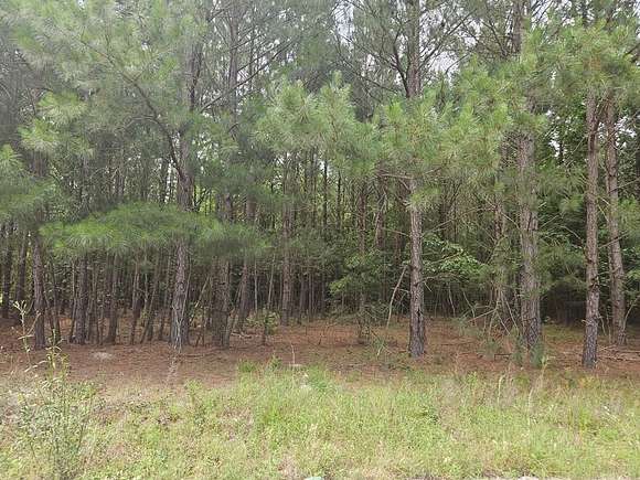6 Acres of Land for Sale in Manning, South Carolina