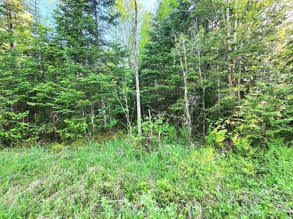 20.2 Acres of Land for Sale in Columbia, New Hampshire