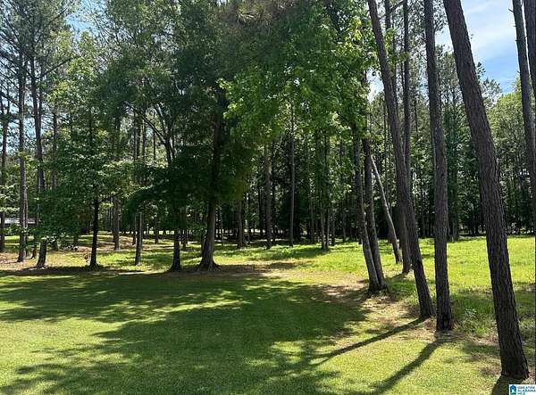 Residential Land for Sale in Sylacauga, Alabama