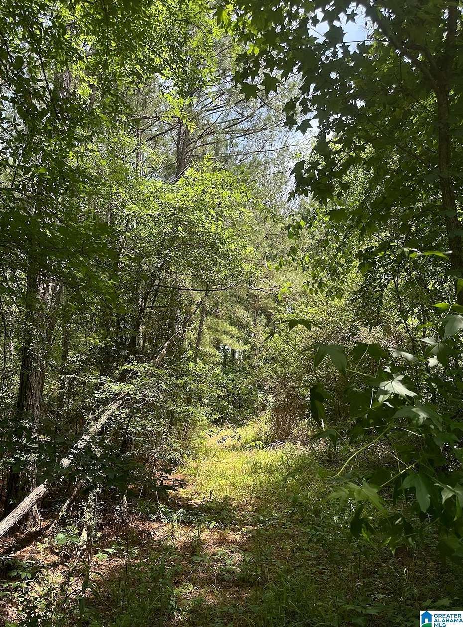 8 Acres of Land for Sale in Sylacauga, Alabama