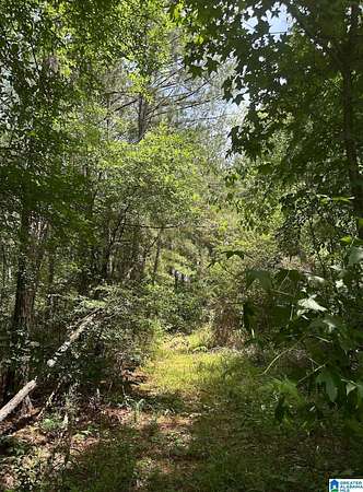 8 Acres of Land for Sale in Sylacauga, Alabama