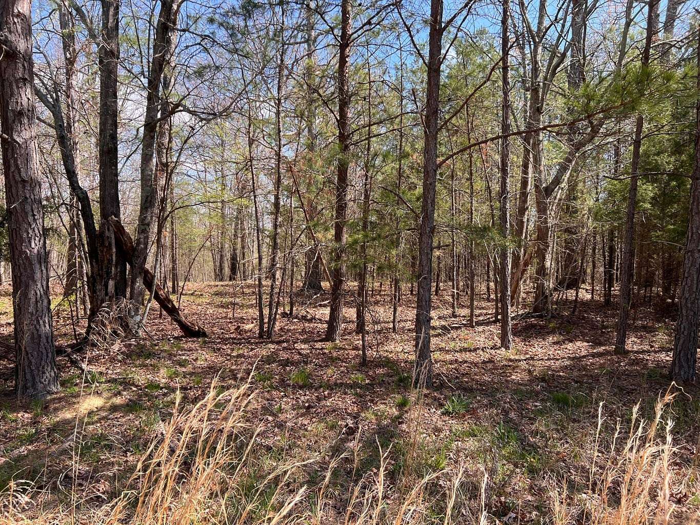 10.04 Acres of Land for Sale in Dunlap, Tennessee