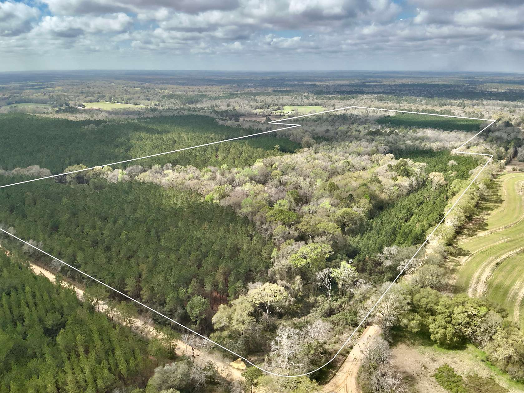 122 Acres of Land for Sale in Bonifay, Florida