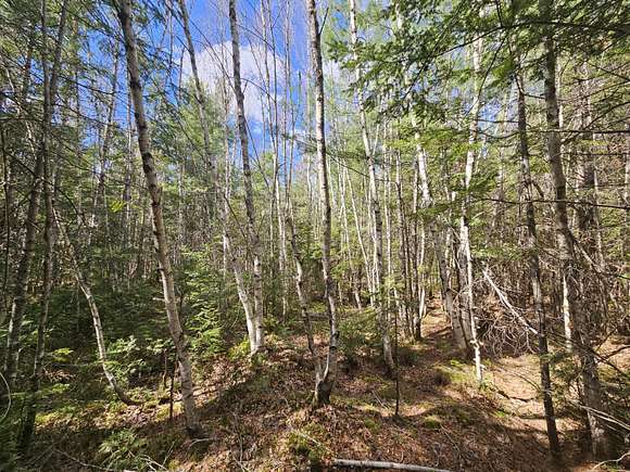 66 Acres of Recreational Land for Sale in Lagrange, Maine