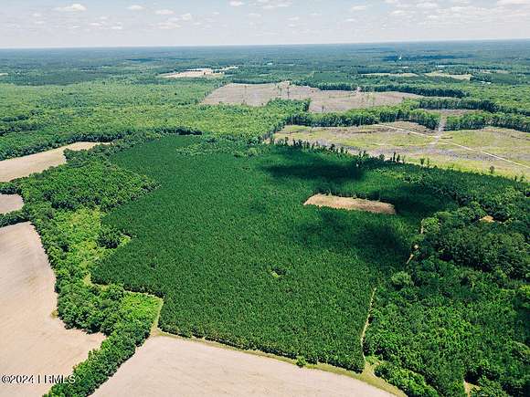 56 Acres of Land for Sale in Islandton, South Carolina