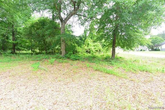 0.36 Acres of Residential Land for Sale in Eclectic, Alabama