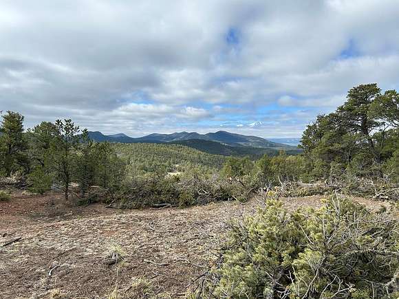 36 Acres of Land for Sale in Cotopaxi, Colorado
