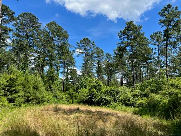 110 Acres of Recreational Land for Sale in Tylertown, Mississippi