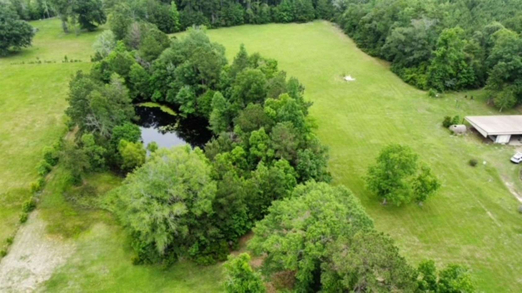 11 Acres of Agricultural Land for Sale in Kirbyville, Texas
