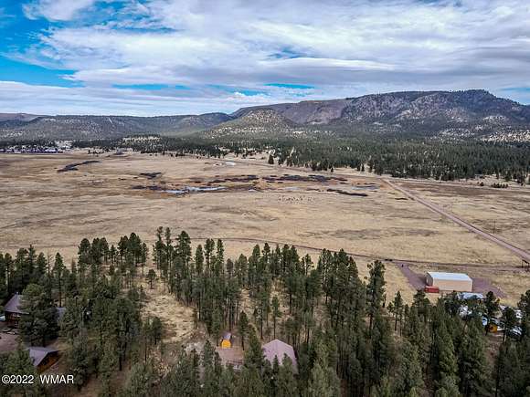 19.1 Acres of Land for Sale in Alpine, Arizona